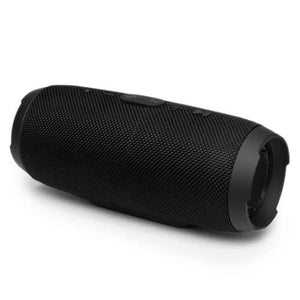 Portable speaker